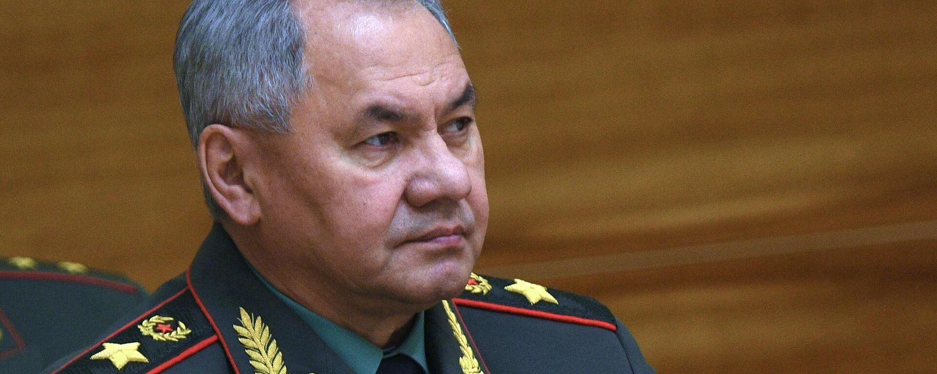 Bộ trưởng Bộ Quốc phòng Nga Sergei Shoigu - Sputnik Việt Nam, 1920, 02.02.2024