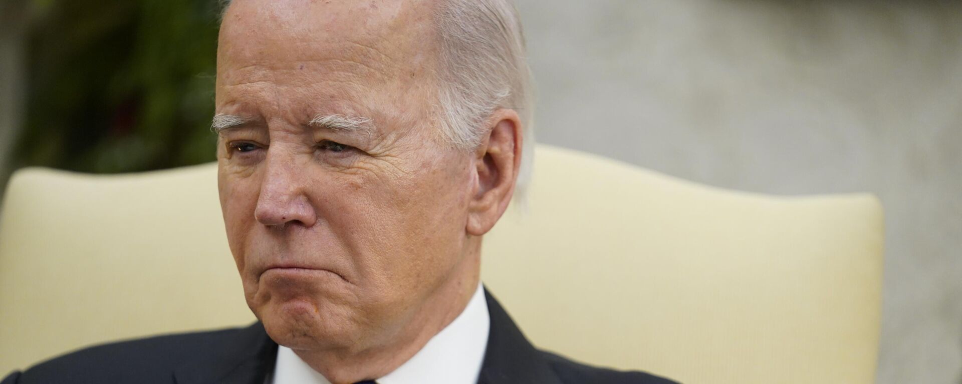 Tổng thống Hoa Kỳ Joe Biden - Sputnik Việt Nam, 1920, 06.02.2024