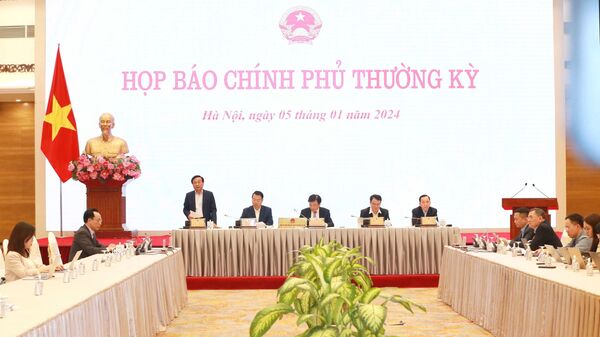 Quang cảnh họp báo. - Sputnik Việt Nam