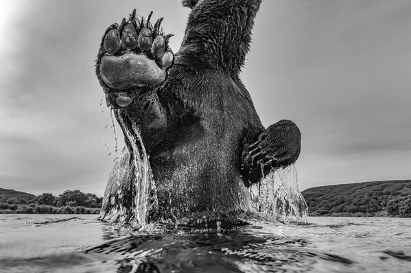 Tác phẩm của nhiếp ảnh gia Nga Sergey Gorshkov, giải nhì trong hạng mục MPB ONE SHOT: ABOVE, EYE LEVEL, BELOW, cuộc thi Travel Photographer of the Year 2023 - Sputnik Việt Nam