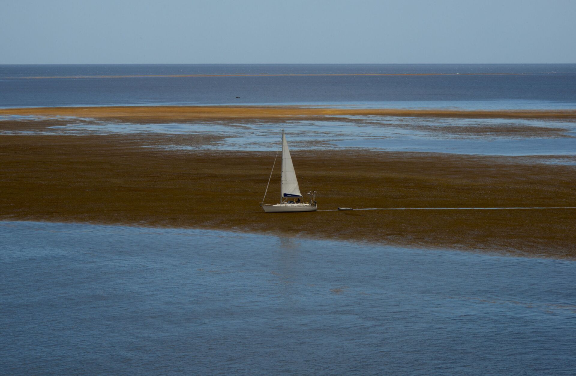 Biển Sargasso - Sputnik Việt Nam, 1920, 26.01.2024