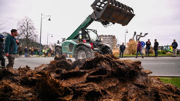 Cuộc biểu tình của nông dân ở Bỉ - Sputnik Việt Nam