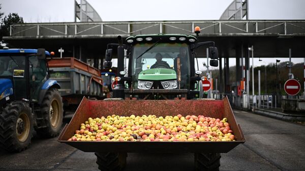 Nông dân biểu tình - Sputnik Việt Nam