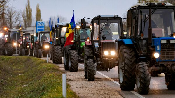 Nông dân Moldova - Sputnik Việt Nam