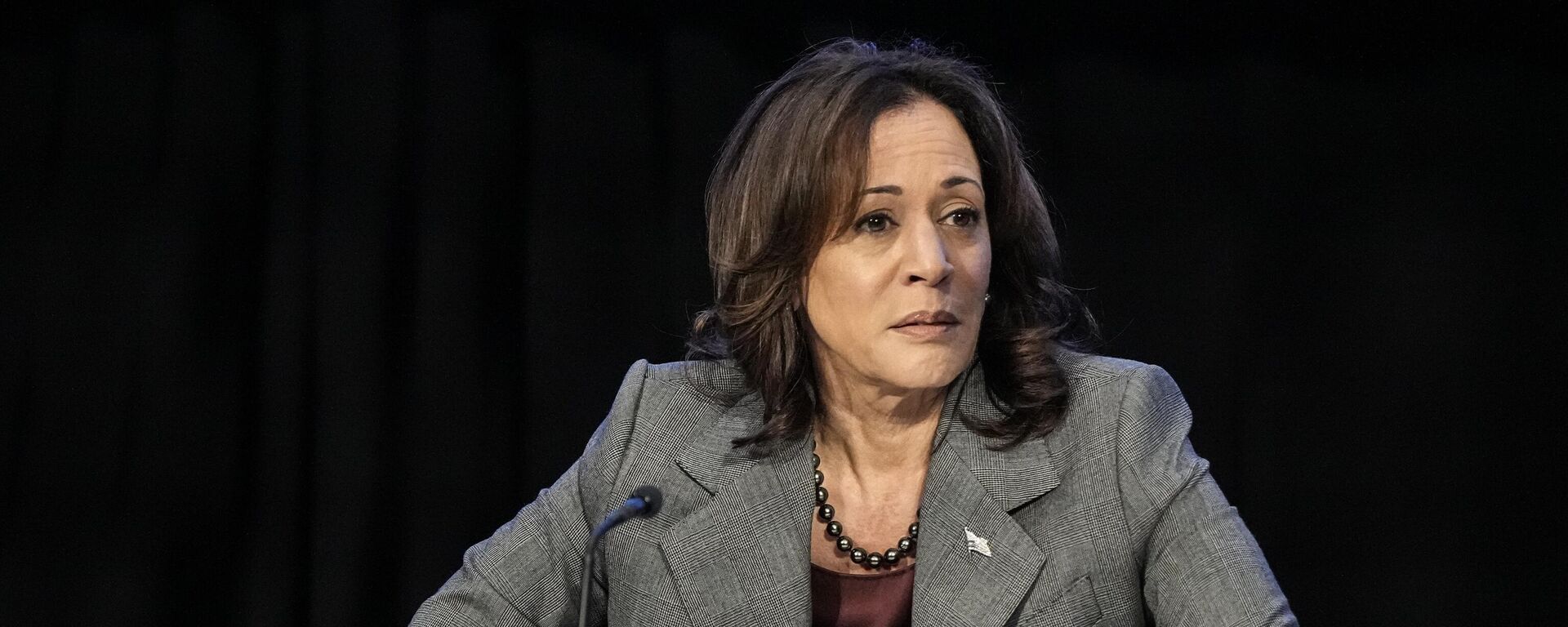 Phó Tổng thống Mỹ Kamala Harris - Sputnik Việt Nam, 1920, 24.07.2024