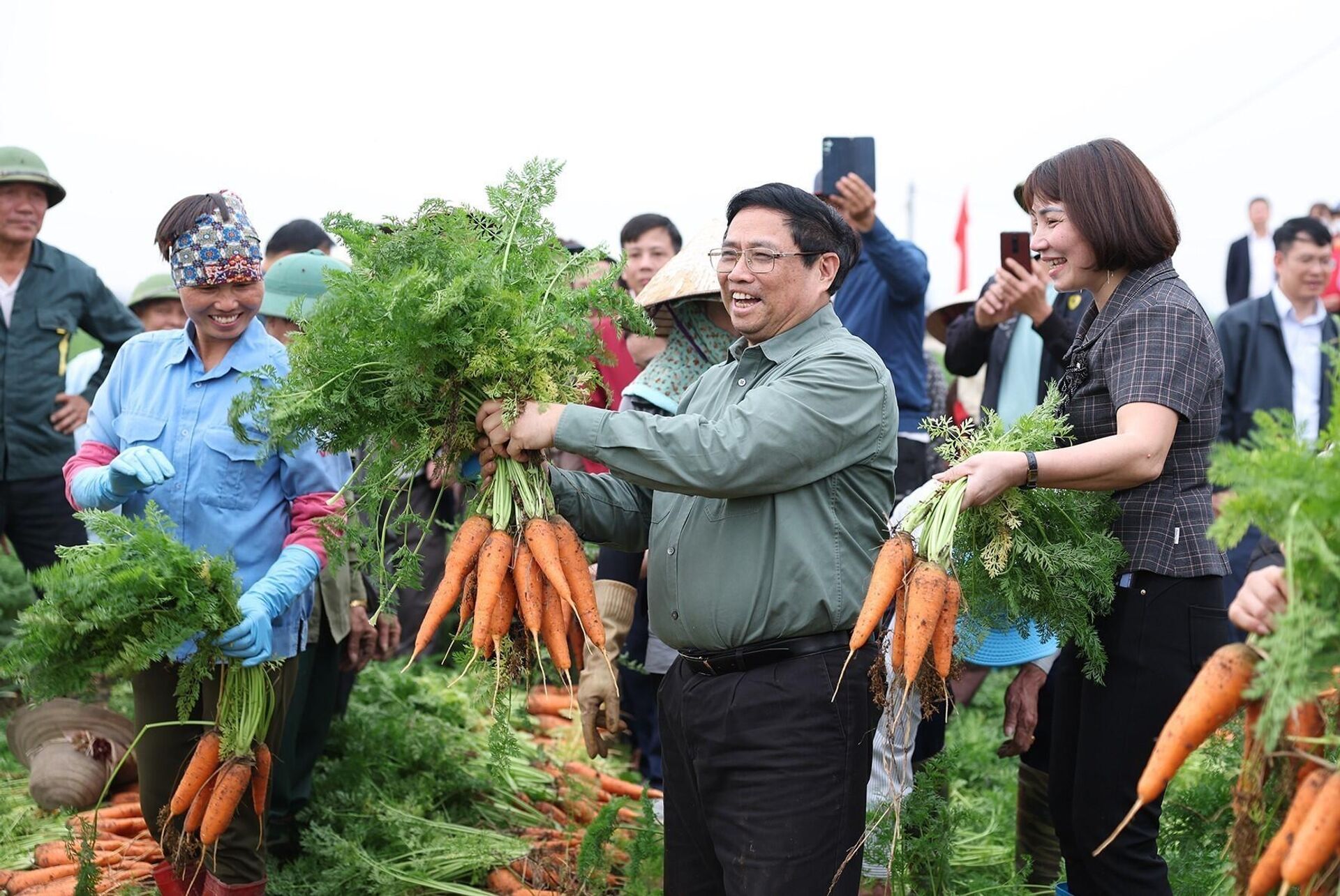 Thủ tướng Phạm Minh Chính thu hoạch cà rốt cùng nông dân xã Đức Chính, huyện Cẩm Giàng.  - Sputnik Việt Nam, 1920, 15.02.2024