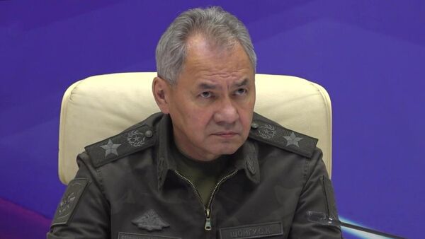 Bộ trưởng Quốc phòng Nga Sergei Shoigu - Sputnik Việt Nam