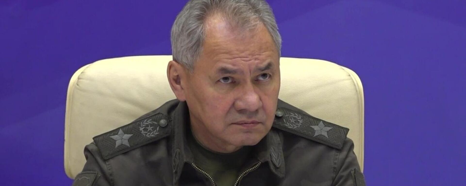 Bộ trưởng Quốc phòng Nga Sergei Shoigu - Sputnik Việt Nam, 1920, 20.02.2024