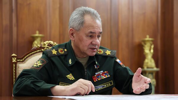 Bộ trưởng Quốc phòng Nga Sergei Shoigu - Sputnik Việt Nam