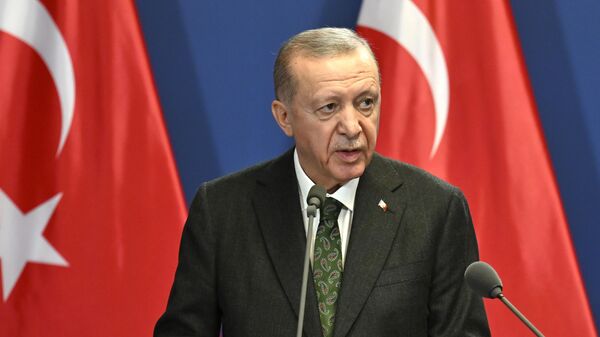 Tổng thống Thổ Nhĩ Kỳ Recep Tayyip Erdogan - Sputnik Việt Nam