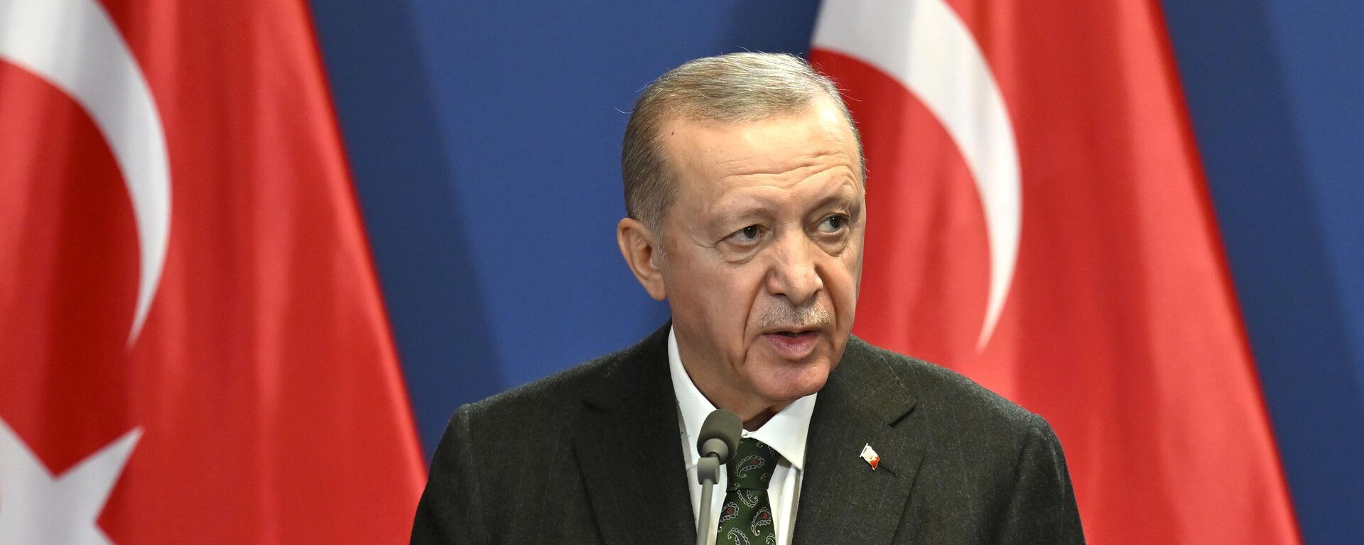 Tổng thống Thổ Nhĩ Kỳ Recep Tayyip Erdogan - Sputnik Việt Nam, 1920, 27.06.2024