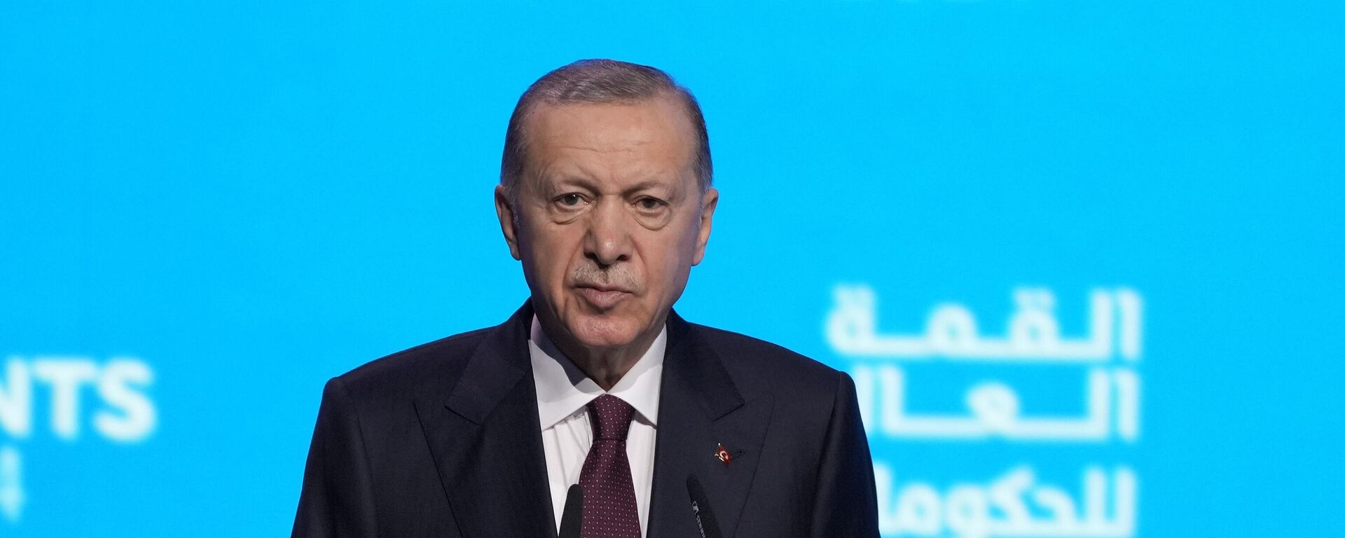 Tổng thống Thổ Nhĩ Kỳ Recep Tayyip Erdogan - Sputnik Việt Nam, 1920, 25.09.2024