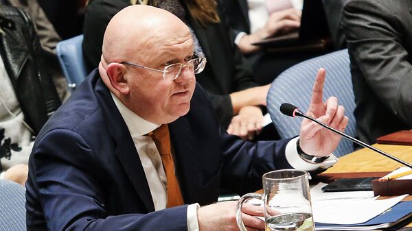 Russia's Permanent Representative to the United Nations Vasily Nebenzya speaks at an open meeting of the UN Security Council in New York - Sputnik Việt Nam