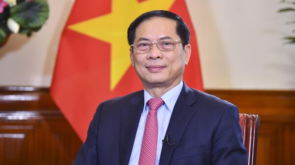 Bộ trưởng Bộ Ngoại giao Bùi Thanh Sơn. - Sputnik Việt Nam