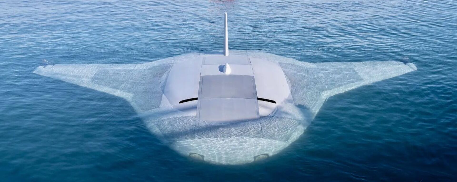 Manta Ray - Sputnik Việt Nam, 1920, 02.05.2024