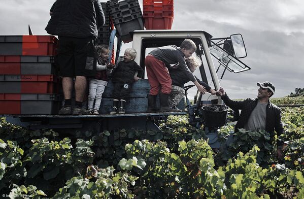 Les Liens du Vin của nhiếp ảnh gia Pháp Jonathan Thevenet, người chiến thắng Errazuriz Wine Photographer of the Year - People trong cuộc thi Pink Lady® Food Photographer of the Year 2024 - Sputnik Việt Nam