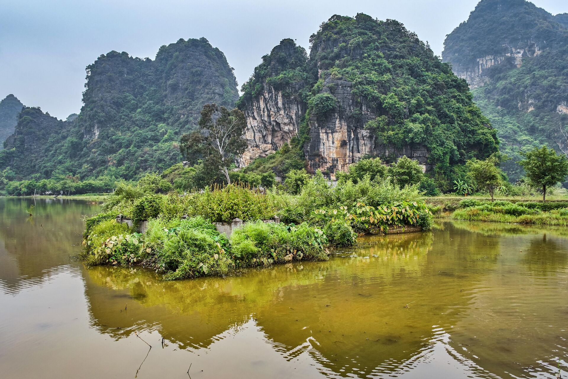 Cúc Phương - Sputnik Việt Nam, 1920, 08.07.2024