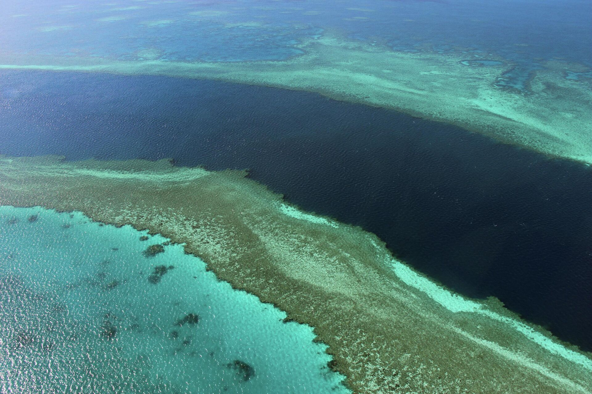 Great Barrier Reef - Sputnik Việt Nam, 1920, 17.07.2024