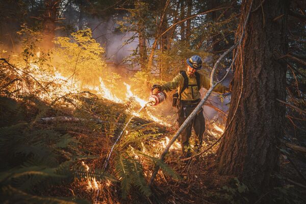 Ảnh “Good Fire” (“Ngọn lửa tốt”) của Maddy Rifka, người chiến thắng ở hạng mục “Human/Nature” (“Con người/Thiên nhiên”) tại BigPicture Natural World Photography 2024 - Sputnik Việt Nam