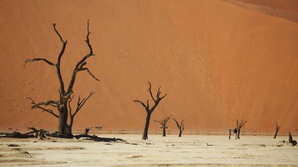 Thung lũng Chết ở sa mạc Namib ở Namibia. - Sputnik Việt Nam