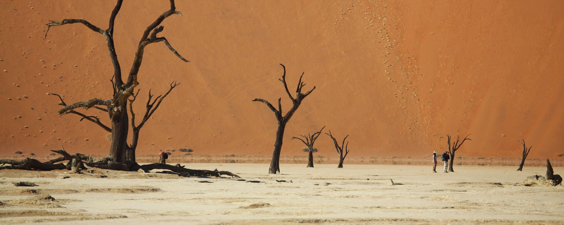 Thung lũng Chết ở sa mạc Namib ở Namibia. - Sputnik Việt Nam, 1920, 30.07.2024