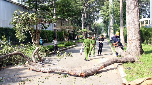 Gãy nhánh cây tại Công viên Tao Đàn (TP. Hồ Chí Minh), 5 người thương vong - Sputnik Việt Nam