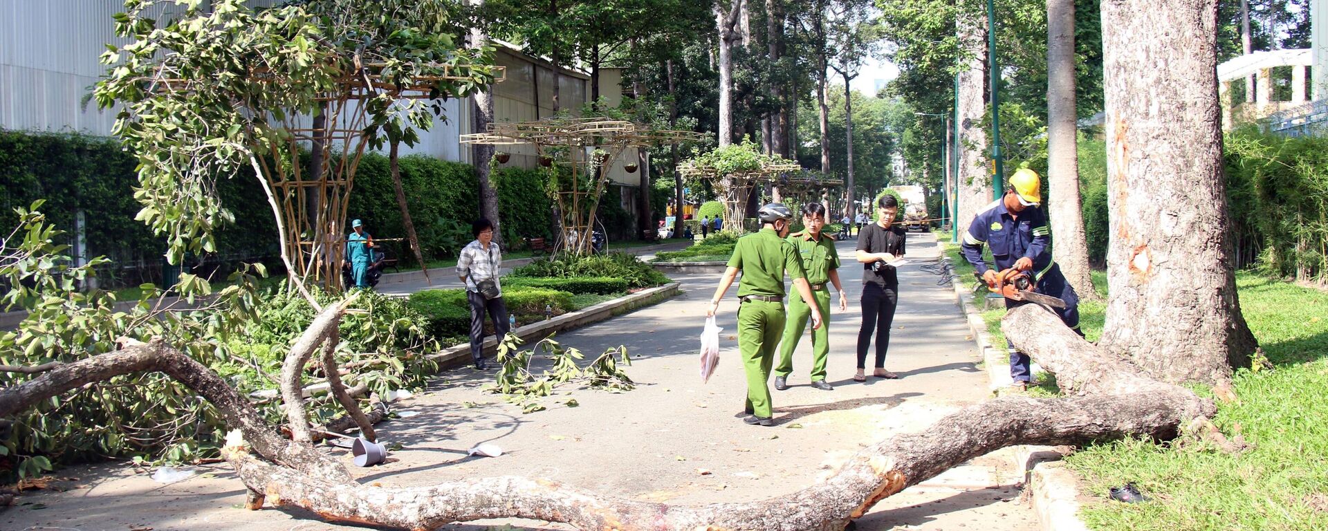 Gãy nhánh cây tại Công viên Tao Đàn (TP. Hồ Chí Minh), 5 người thương vong - Sputnik Việt Nam, 1920, 09.08.2024