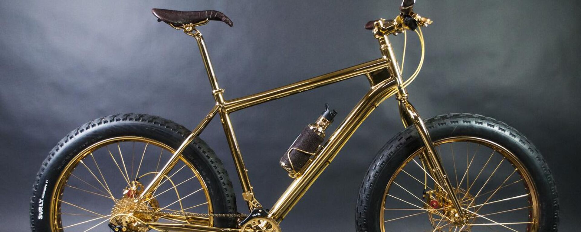 24K Gold Extreme Mountain Bike - Sputnik Việt Nam, 1920, 25.08.2024