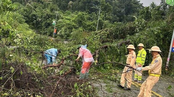 Lực lượng chức năng tỉnh Vĩnh Phúc thu dọn, xử lý cây đổ, đảm bảo cho nhân dân, các phương tiện lưu thông bình thường - Sputnik Việt Nam