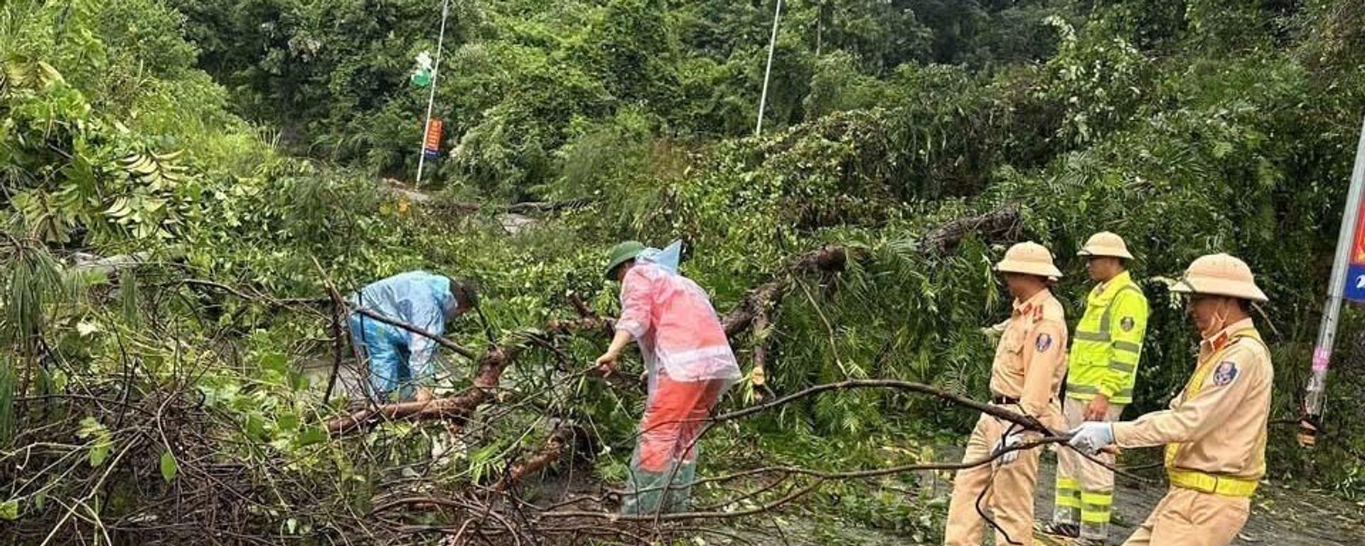 Lực lượng chức năng tỉnh Vĩnh Phúc thu dọn, xử lý cây đổ, đảm bảo cho nhân dân, các phương tiện lưu thông bình thường - Sputnik Việt Nam, 1920, 08.09.2024