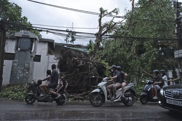 Người dân lái xe qua những cây đổ sau khi cơn bão Yagi đi qua Hà Nội, Việt Nam - Sputnik Việt Nam