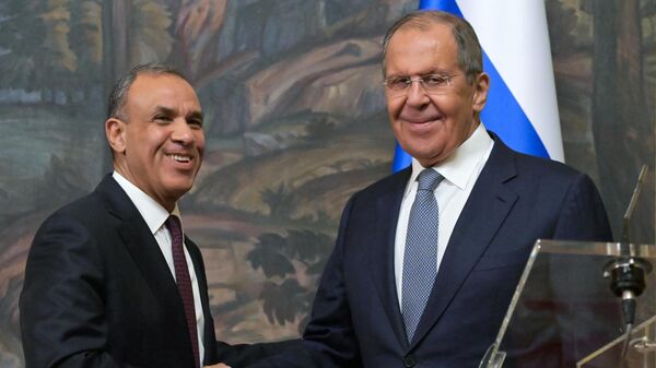 Ngoại trưởng Nga Sergei Lavrov (phải) và Ngoại trưởng Ai Cập Badr Ahmed Abdel Aty trong buổi tiếp cận báo chí sau cuộc đàm phán ở Moskva - Sputnik Việt Nam