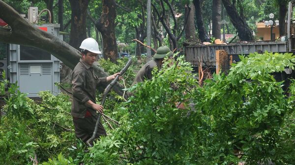 Các lực lượng chức năng Thủ đô chung tay khắc phục hậu quả cơn bão số 3 - Sputnik Việt Nam