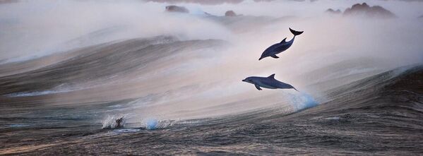 Ảnh Wild Leap của nhiếp ảnh gia Australia Jon Vause, lọt vào TOP 50 ở hạng mục Amateur Nature Landscapes tại cuộc thi EPSON International Pano Awards lần thứ 15 - Sputnik Việt Nam