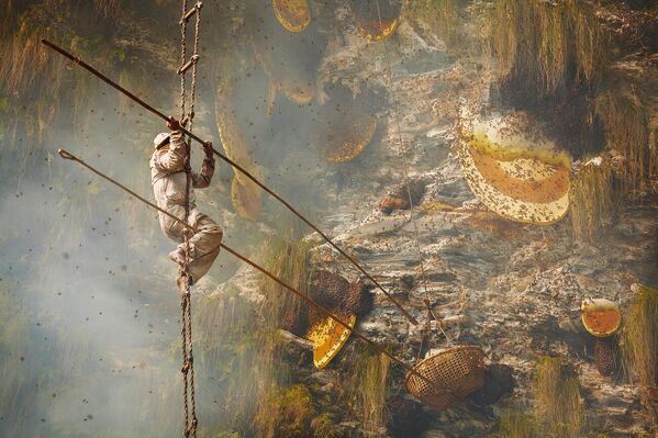 Honey hunters 3 của nhiếp ảnh gia Andrew Newey, đoạt giải nhất ở hạng mục Journeys &amp; Adventures, Giải thưởng Siena International Photo Awards 2024 - Sputnik Việt Nam