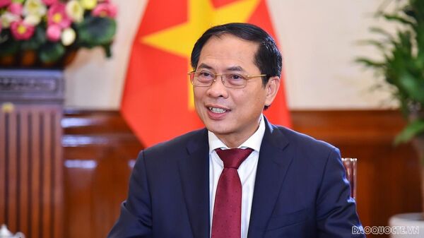 Bộ trưởng Ngoại giao Việt Nam Bùi Thanh Sơn - Sputnik Việt Nam