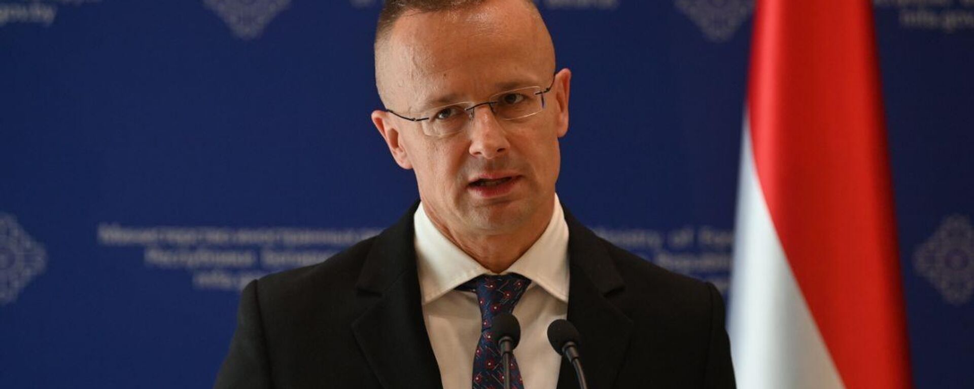 Bộ trưởng Bộ Ngoại giao và Kinh tế đối ngoại Hungary Peter Szijjarto Bộ trưởng Bộ Ngoại giao và Kinh tế đối ngoại Hungary Peter Szijjarto - Sputnik Việt Nam, 1920, 10.12.2025