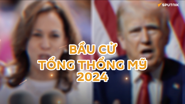 Bầu cử Tổng thống Mỹ 2024: Ứng viên nào được lòng người Việt? - Sputnik Việt Nam