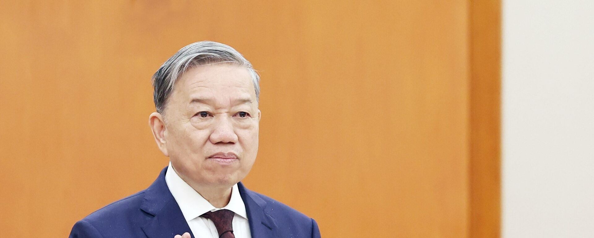 Tổng Bí thư Tô Lâm phát biểu. - Sputnik Việt Nam, 1920, 06.11.2024