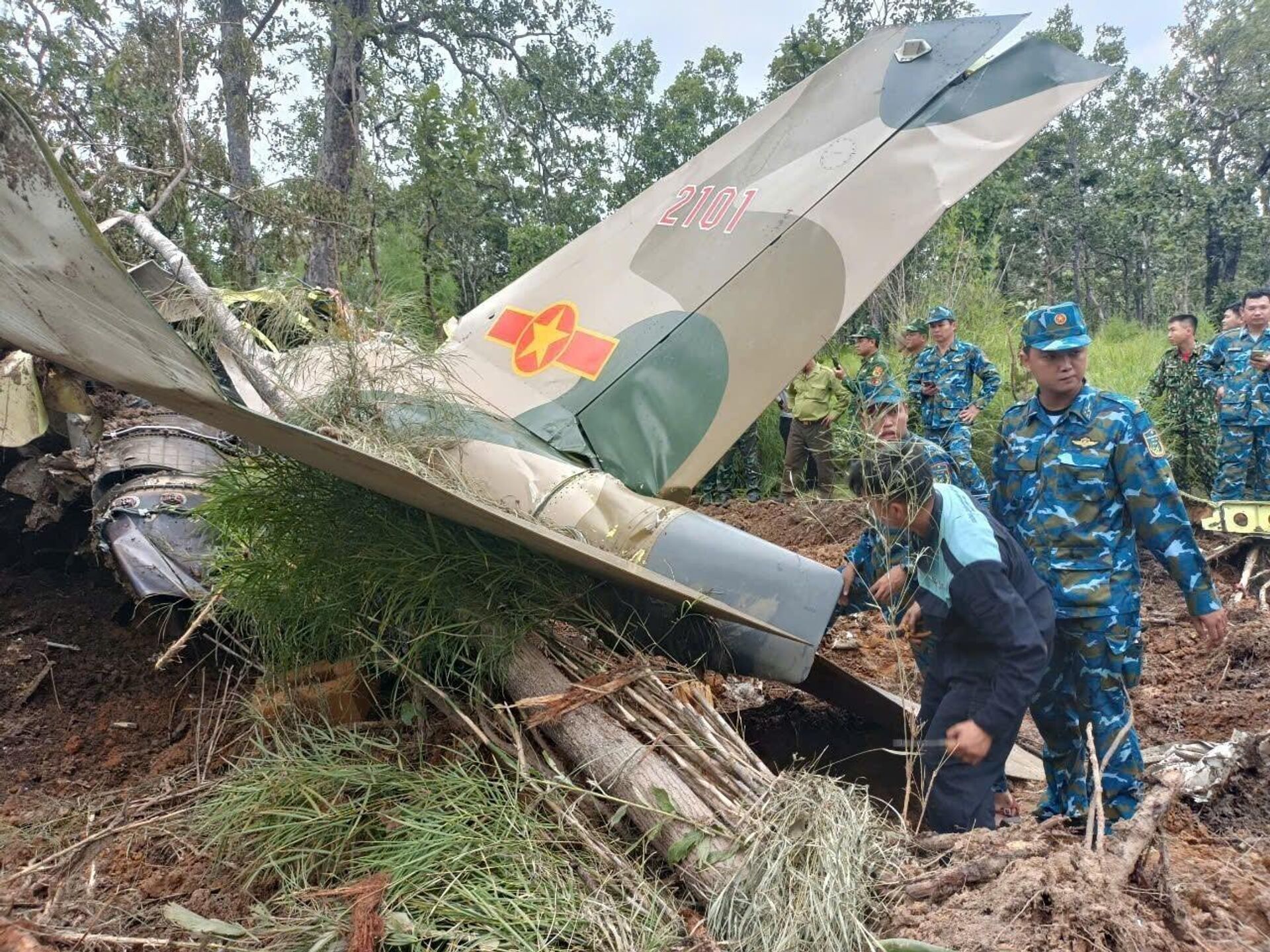 Lực lượng chức năng kiểm tra hiện trường máy bay quân sự Yak-130 gặp nạn tại Vườn quốc gia Yok Đôn.  - Sputnik Việt Nam, 1920, 09.11.2024