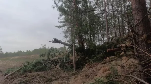 Pháo tự hành D-30 tấn công lực lượng quân Ukraina tại bờ sông Dnepr ở Kherson - Sputnik Việt Nam
