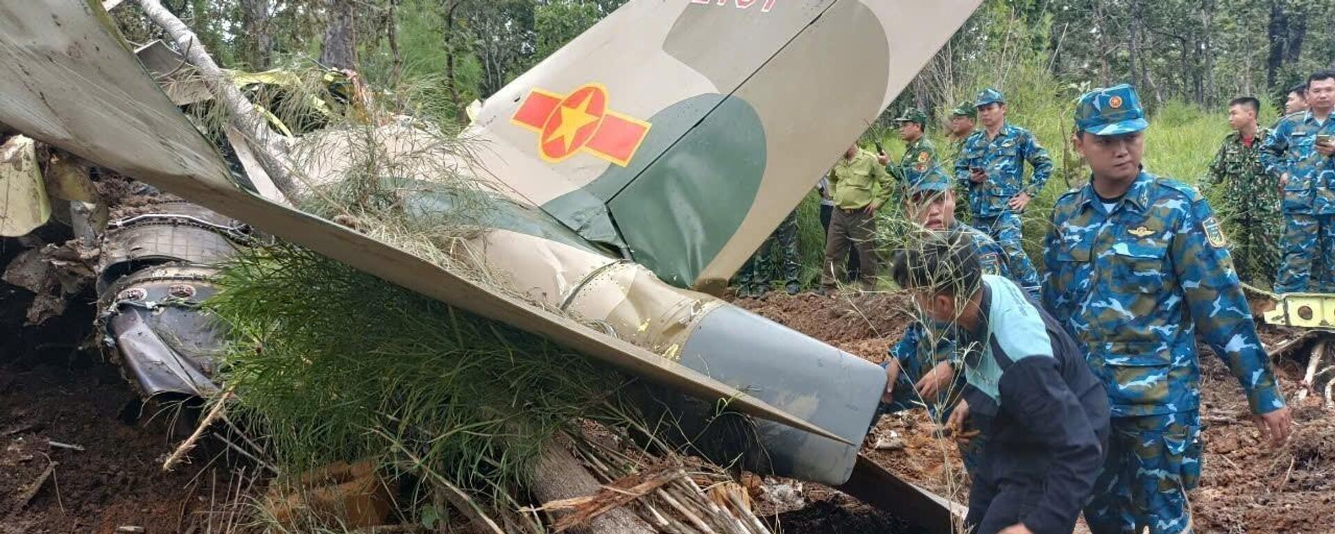 Hiện trường máy bay quân sự Yak-130 bị tai nạn tại Vườn quốc gia Yok Đôn - Sputnik Việt Nam, 1920, 11.11.2024