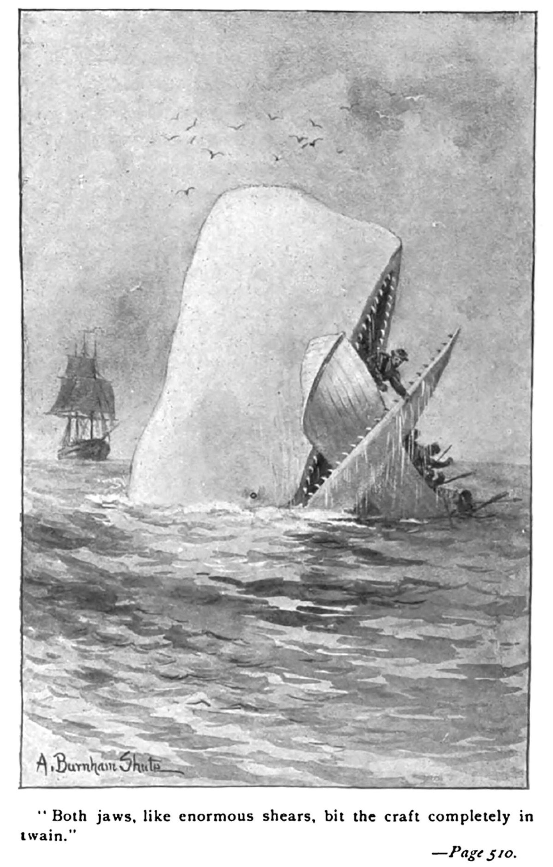 Moby Dick - Herman Melville - Sputnik Việt Nam, 1920, 12.11.2024