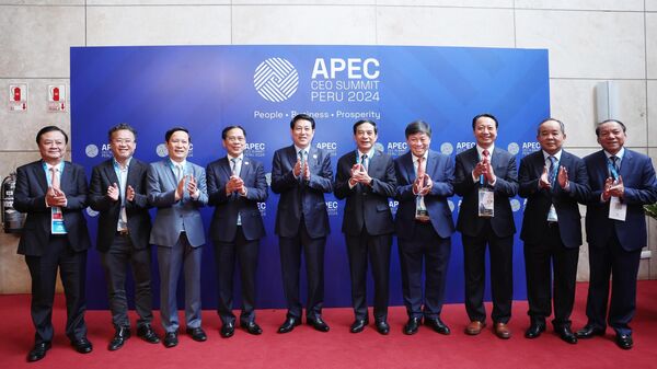 Chủ tịch nước phát biểu tại Hội nghị Thượng đỉnh Doanh nghiệp APEC – CEO Summit - Sputnik Việt Nam