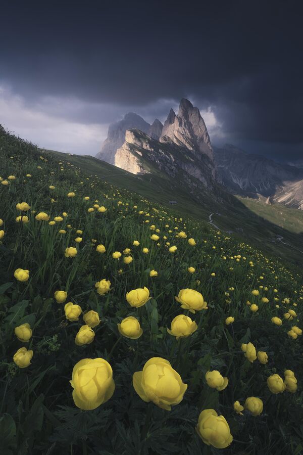 Bức ảnh Seceda của nhiếp ảnh gia Đài Loan Hong Jen Chiang, lọt Top -101 cuộc thi The 11th International Landscape Photographer of the Year - Sputnik Việt Nam