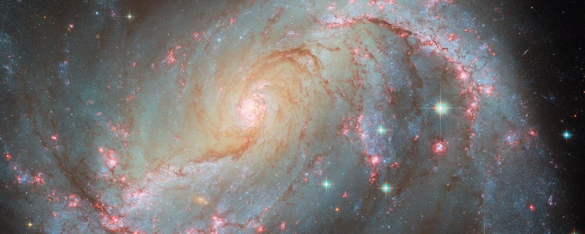 NGC 1672, một thiên hà xoắn ốc có rào chắn nằm cách Trái đất 49 triệu năm ánh sáng trong chòm sao Doradus - Sputnik Việt Nam, 1920, 11.02.2025