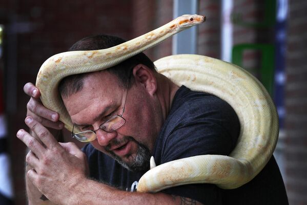 Sean Gott cố gắng giải thoát mình khỏi Dante, con trăn cưng mà anh mang theo khi đi dạo qua trung tâm Rockland, Maine, Hoa Kỳ - Sputnik Việt Nam