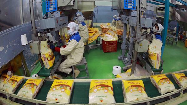 Nhà máy của Công ty TNHH MTV lương thực Thoại Sơn (Tập đoàn Lộc Trời), mỗi năm cung cấp khoảng 200.000 tấn gạo phục vụ thị trường trong nước và xuất khẩu. - Sputnik Việt Nam