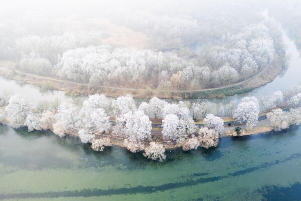 Cây phủ băng giá ở Lower Saxony - Sputnik Việt Nam