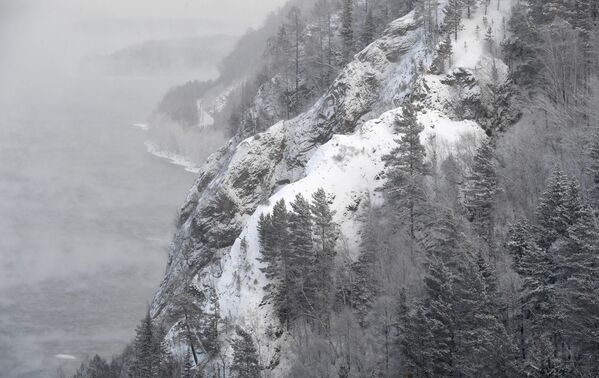 Bãi rừng taiga đá của sông Yenisei ở vùng Krasnoyarsk - Sputnik Việt Nam